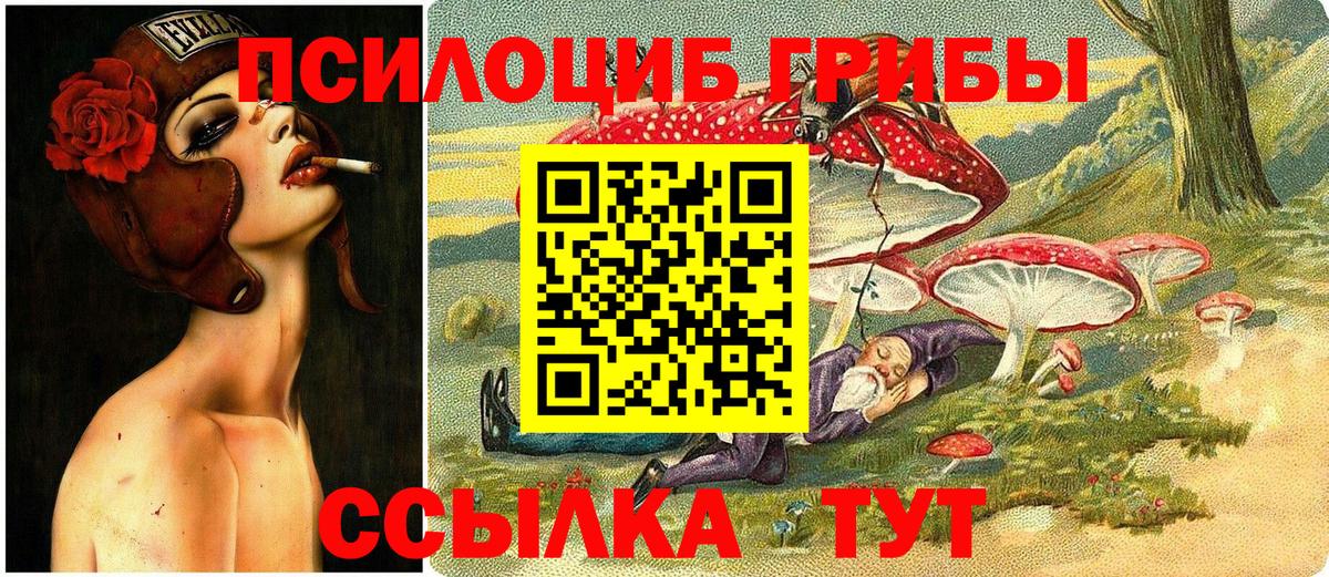 Псилоцибиновые грибы Cubensis Шебекино